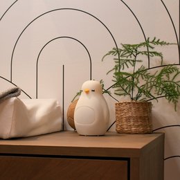 Penguin Sleep Trainer