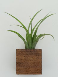 Würfel – Dunkle Eiche