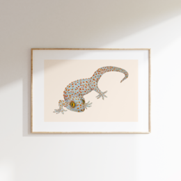 A fine art print featuring a colorful gecko or lizard-like creature. The image shows a detailed illustration of the animal with a spotted, patterned body and large eyes. The print is available in multiple sizes, including A4, A3, and A2.