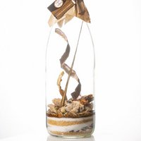Preparation for arranged rum "Passion Bois Bandé" 1 L
