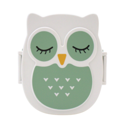 Snack box - Lunchbox Owl airtight & BPA free - Mint