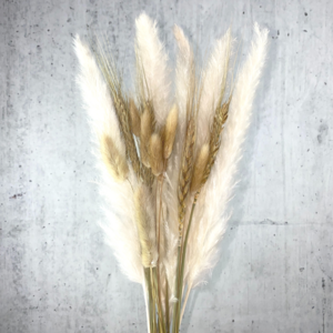 Boeket droogbloemen wit