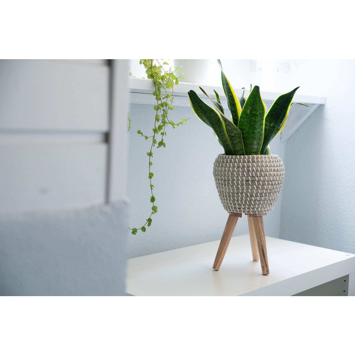Blumentopf aus Seegras geflochten, mit integriertem Ständer