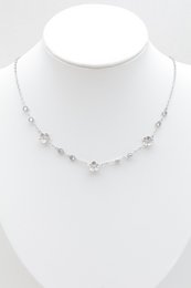 Roestvrij stalen ketting