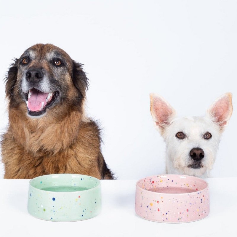 New Party Pet Bowl 14cm Set 2 Green