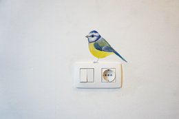 Wall sticker blue tit