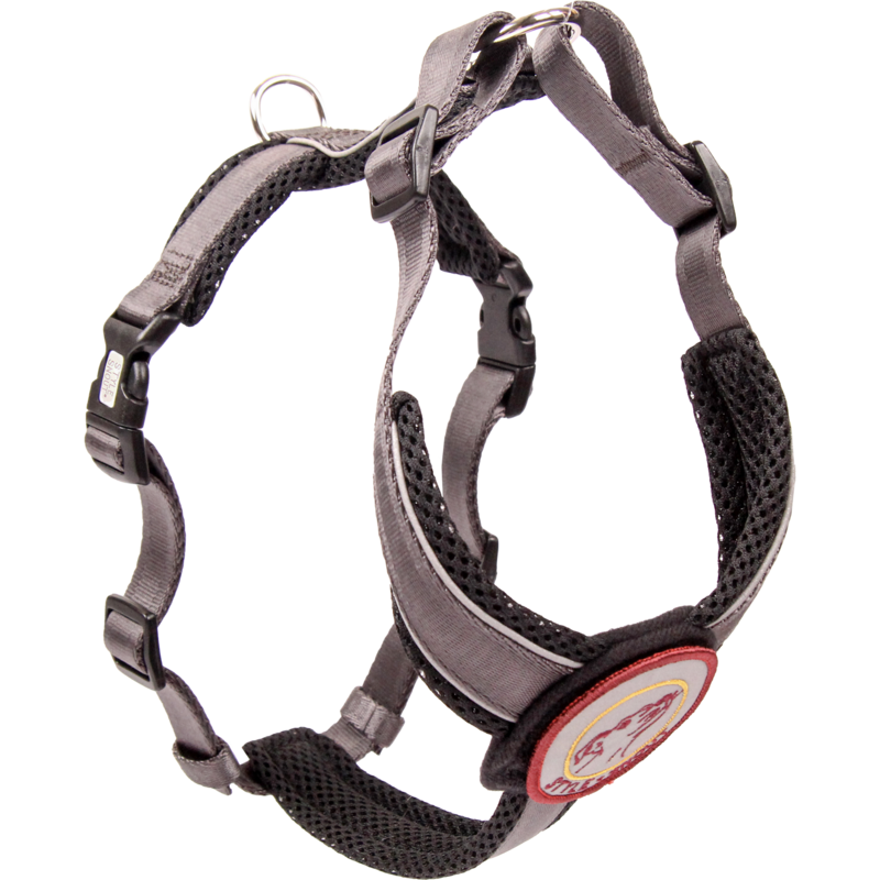 Chest Harness – Patch&Style – Silver