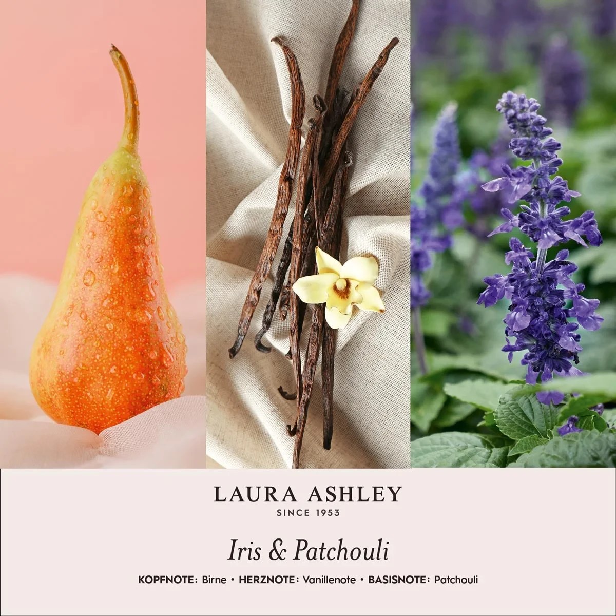 Duftkerze Laura Ashley Iris & Patchouli im Geschenkkarton - 200g