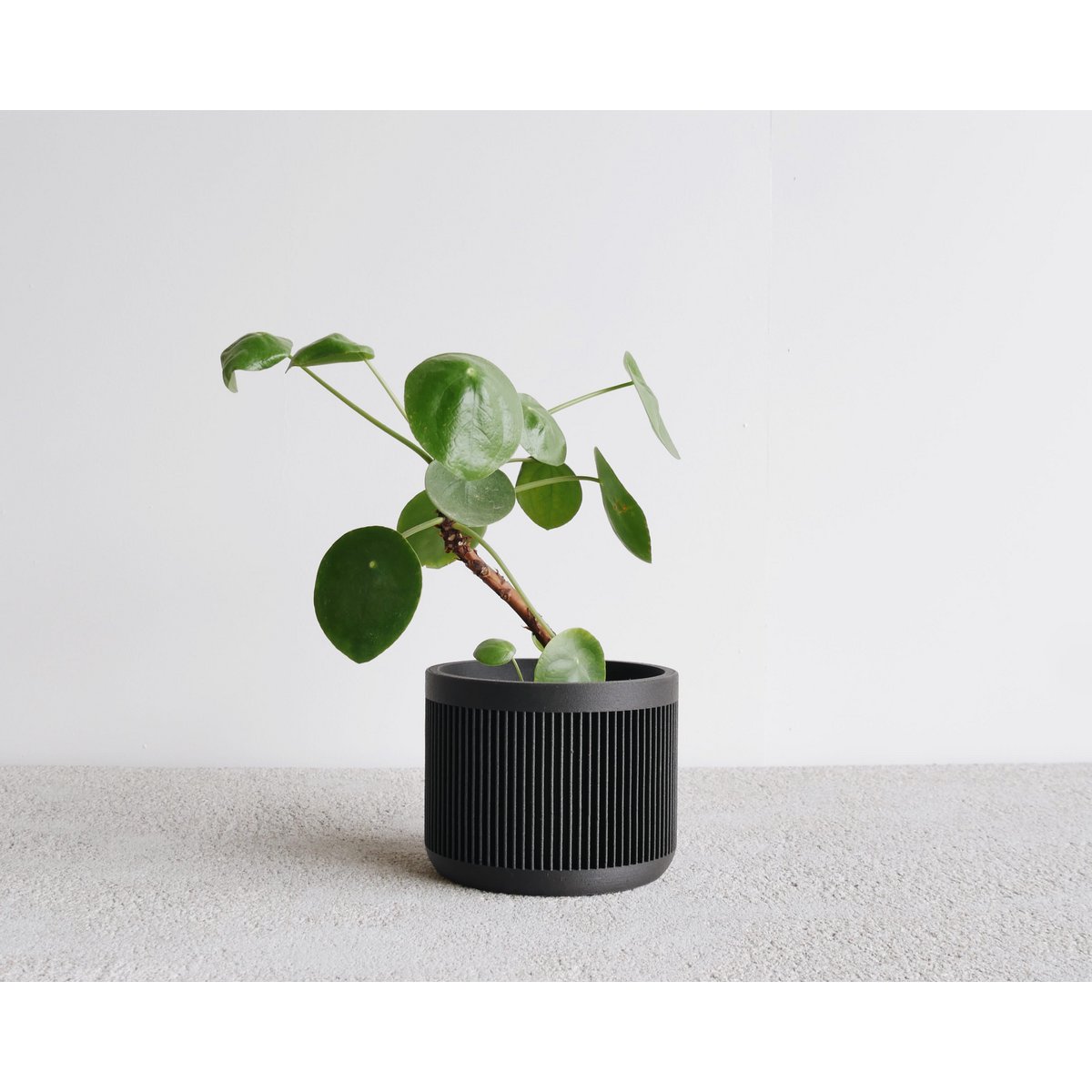 Black M - 8,5 inner diameter
