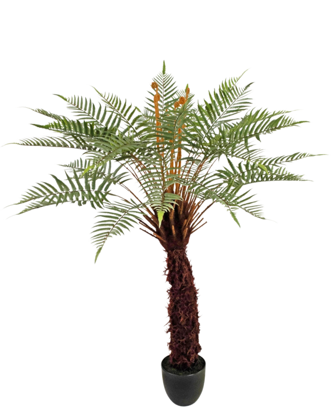 Sztuczna roślina Dicksonia 127 cm