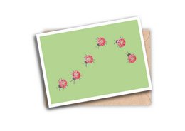 Colorful greeting card with ladybird illustrations on a green background.