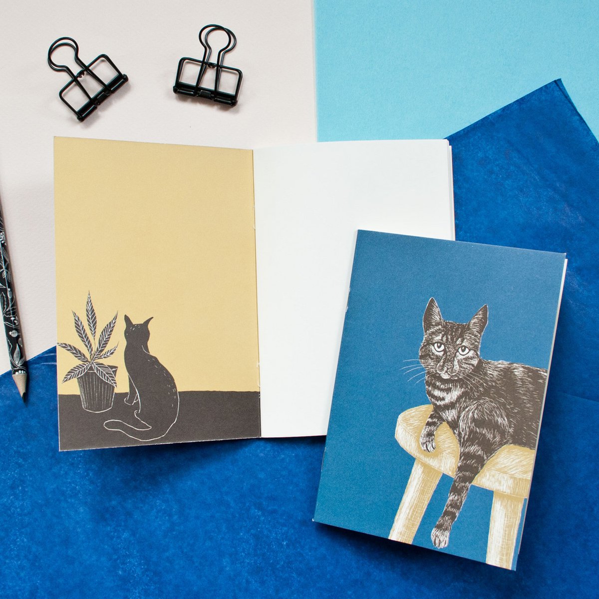 Notebook | cat