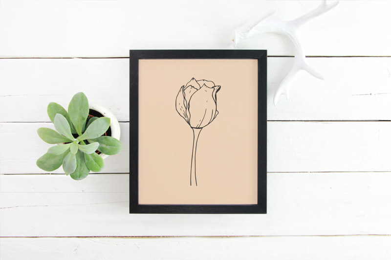 Minimal Tulipan plakat