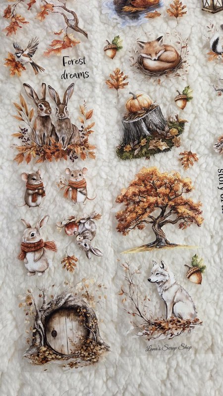 Woodland Stories - PET Tape