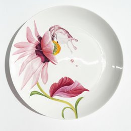 Botanical Wonders - Set of 4 dinner plates