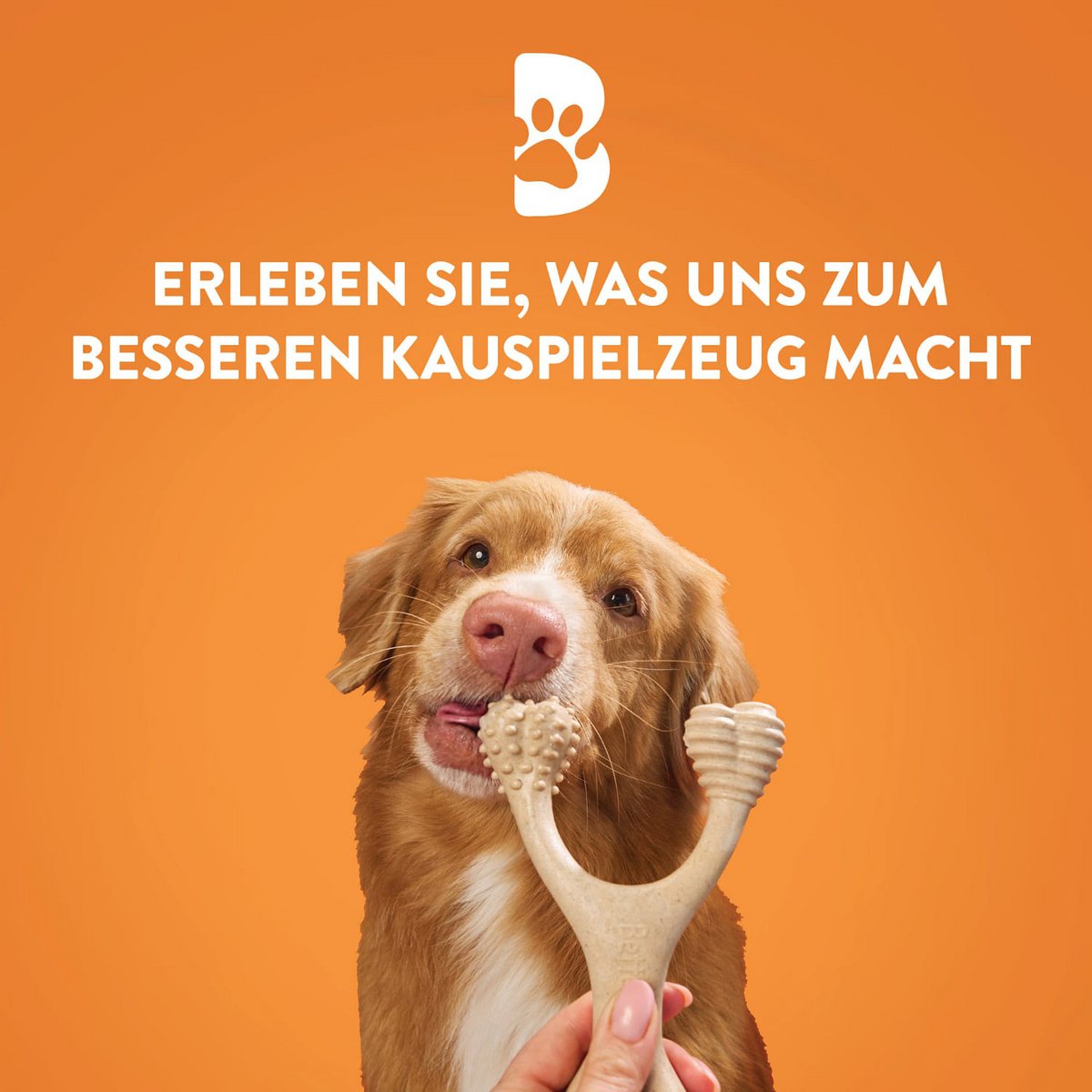BetterBone Hunde Kauspielzeug Kauknochen - Mini Hard Classic (ohne Nylon, CO2 neutral in Europa hergestellt)
