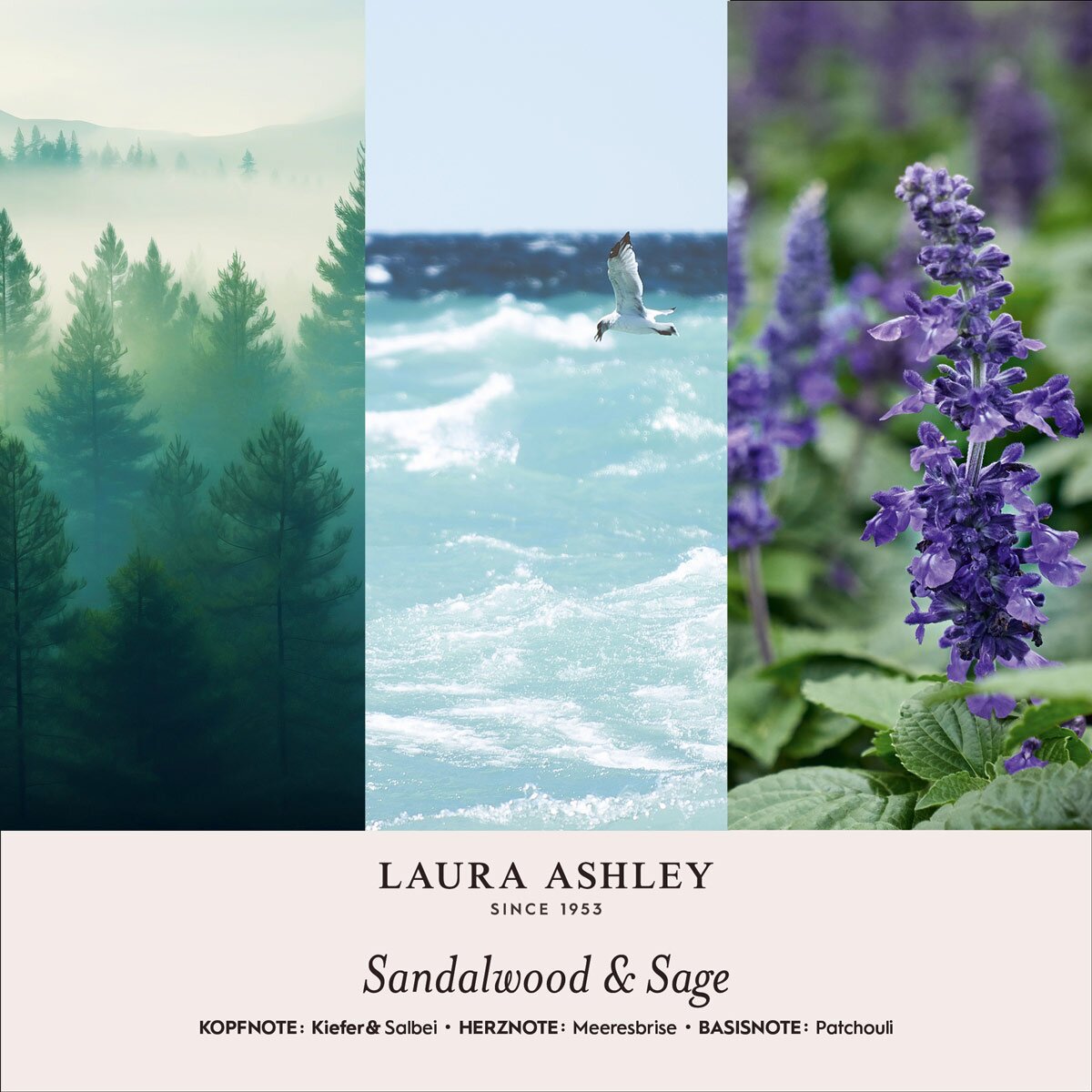Scented candle Laura Ashley Sandalwood & Sage - 400g