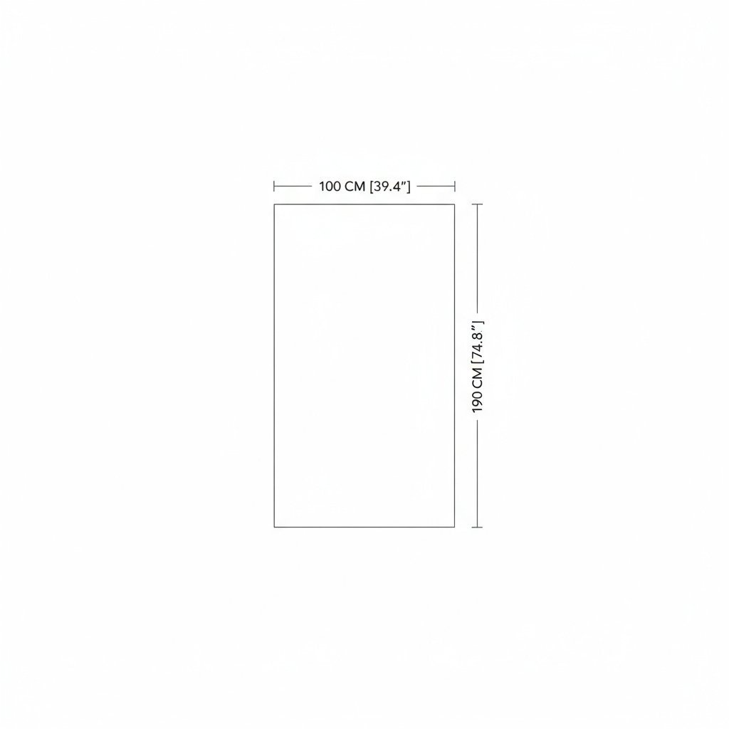 Passpiegel Czarne 100x190 Lustro ścienne z profilu stalowego