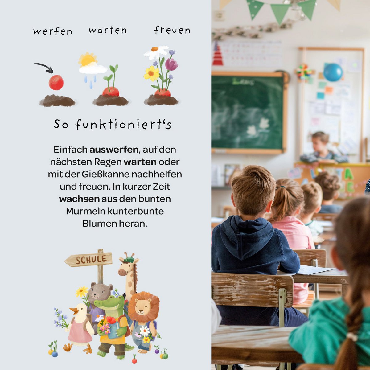 Back-to-School, 15 Saatkugeln im Baumwollbeutel