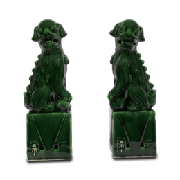 conjunto de perro fu verde