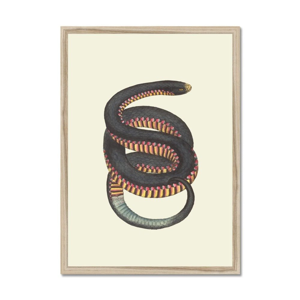 Serpent