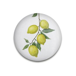 Decorative magnet Sunny Lemons