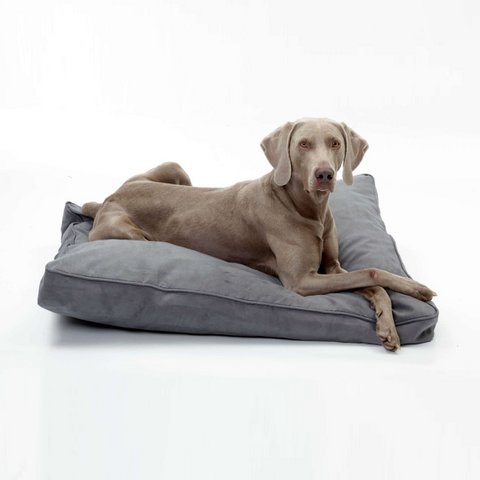 Hundekissen Alcanterra anthrazit