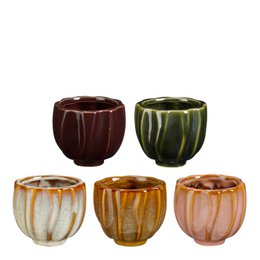 Amy pot 5 assorti display 