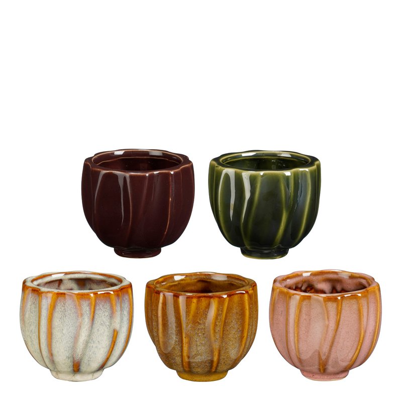 Amy pot 5 assorti display 