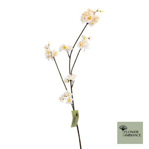 Prunus malaga spray beige 84cm