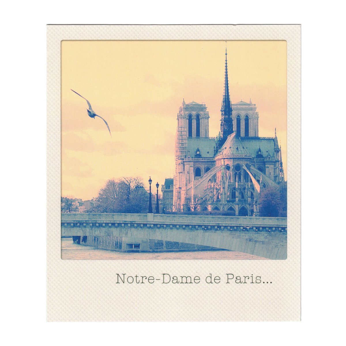 Carte Postale - Paris Instantanés