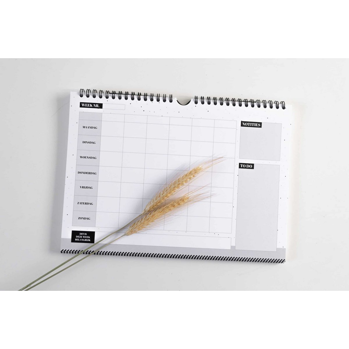 Family planner