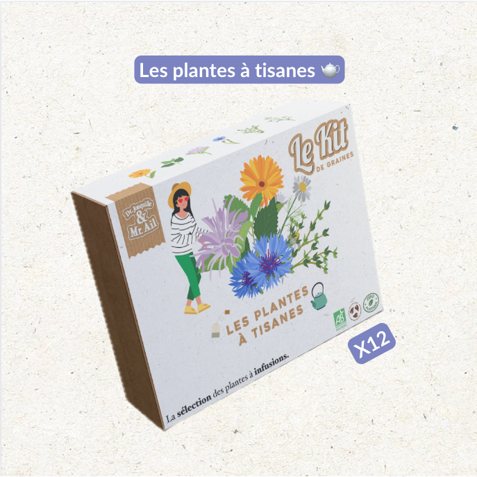 Kruidentheeplanten - Thematische tuinbouwset - Creatieve kit - DIY - Kerstcadeau