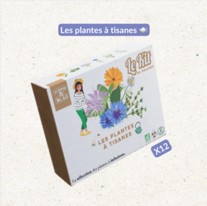 Herbal Tea Plants - Thematic gardening kit - Creative kit - DIY - Christmas gift