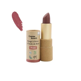Organic lipstick with castor oil