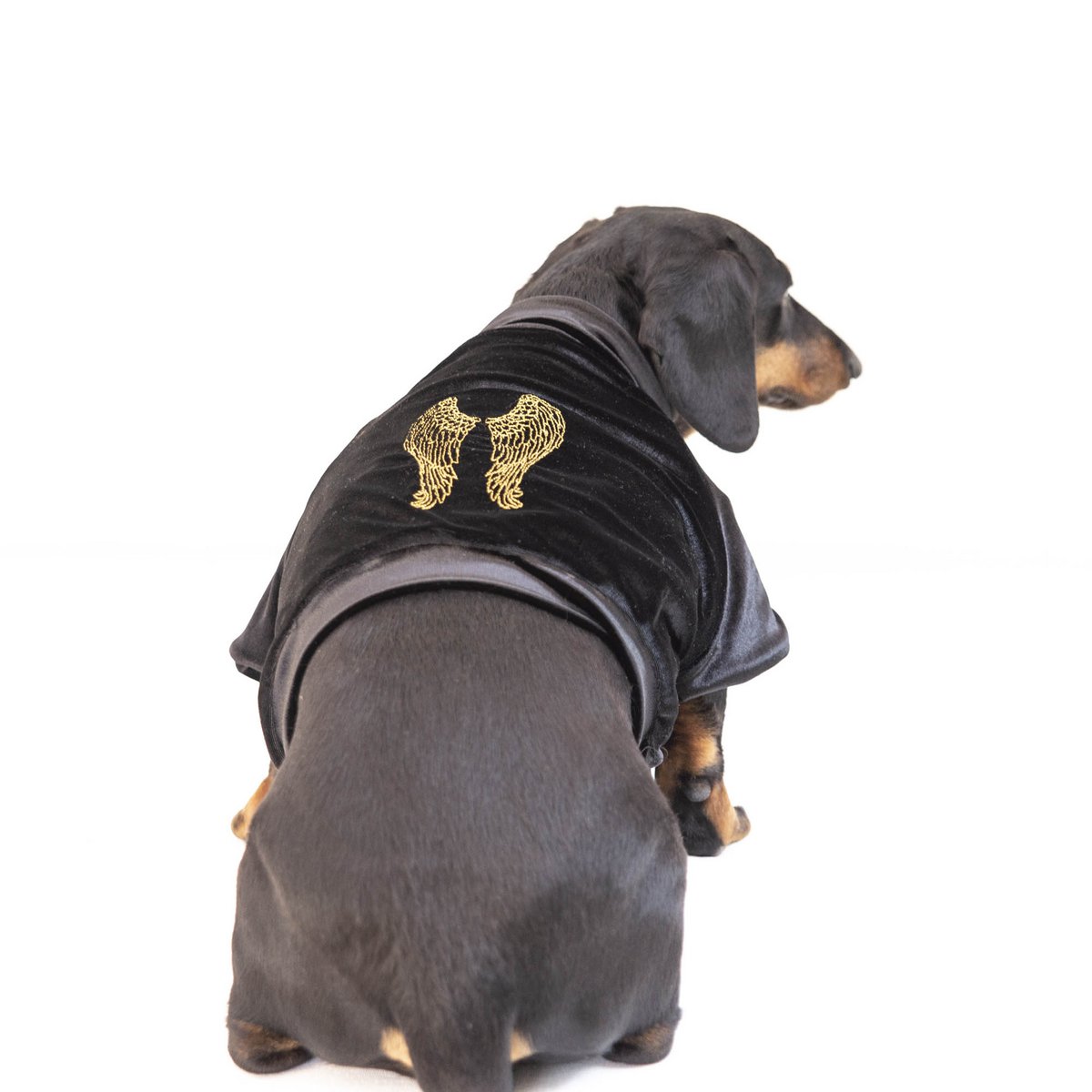 Chaqueta Angelo