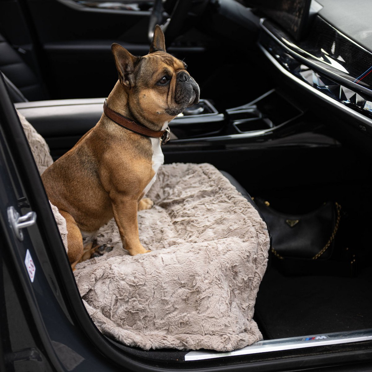 COZY Kuscheldecke für Hunde