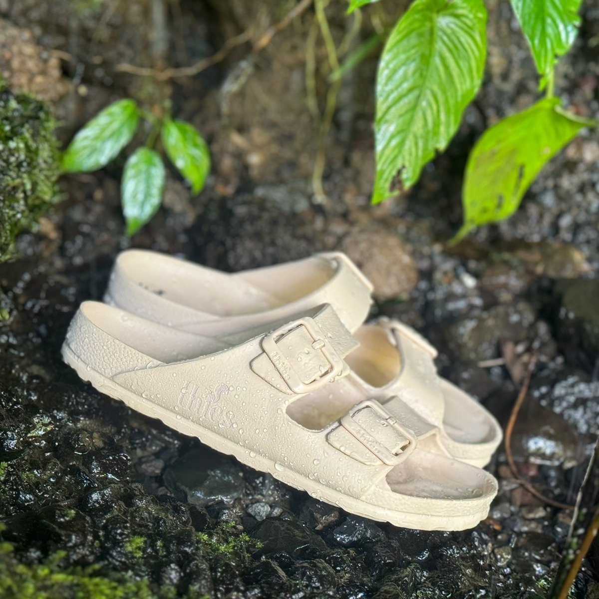 thies 1856 ®