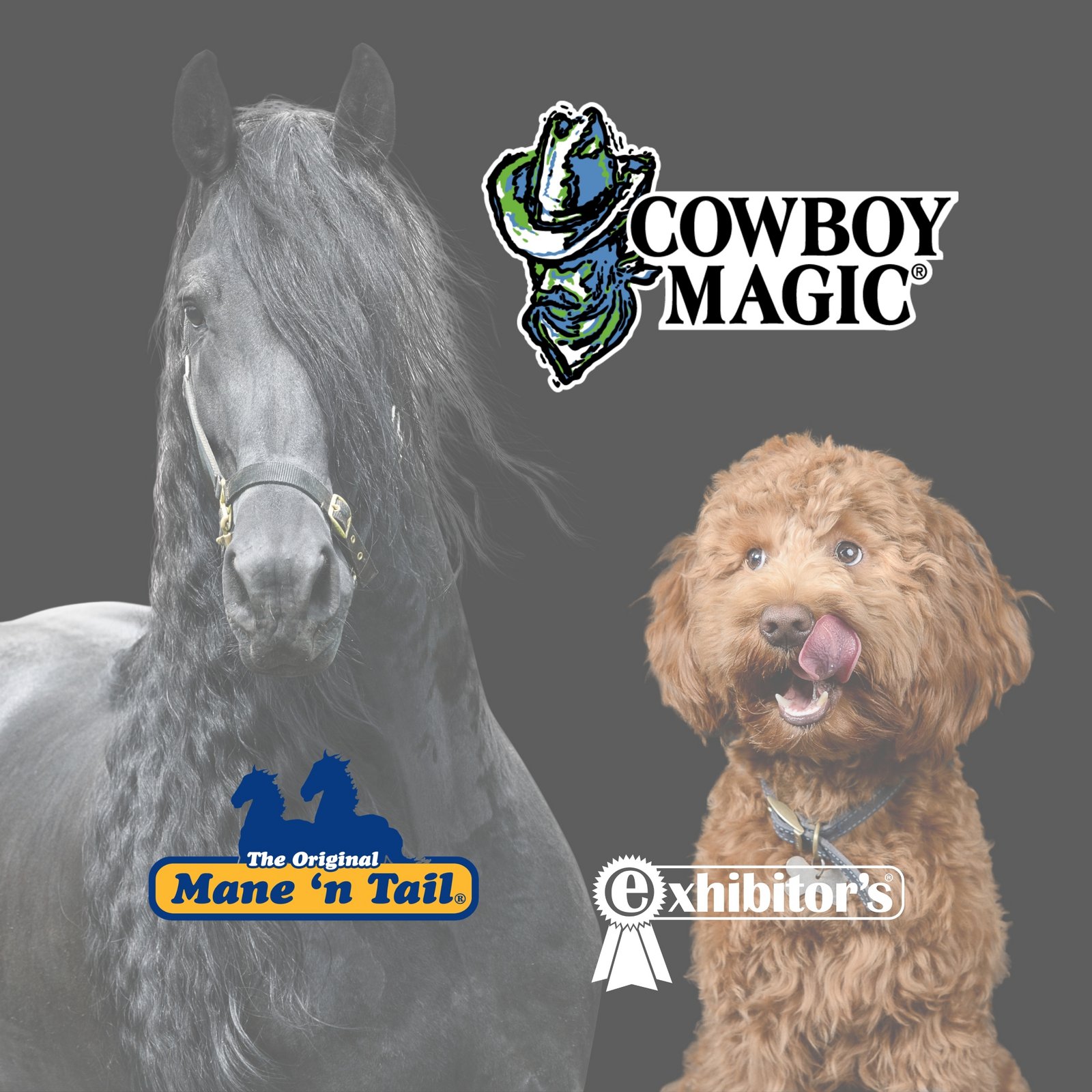 Cowboy Magic® Europe