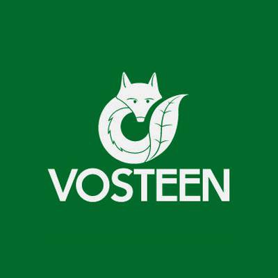 Vosteen