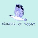 Wonder Of Today