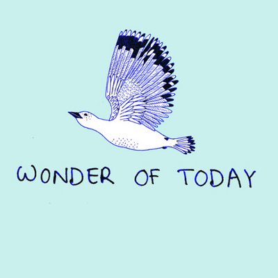Wonder Of Today