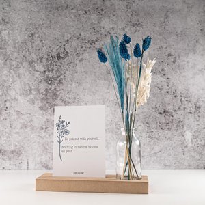 Lievelingshop, Home & Living brand in Netherlands