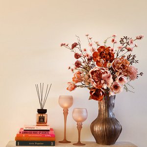 Countryfield, Home & Living brand in Netherlands