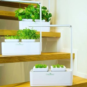 Odyseed, Home & Living brand in Belgium