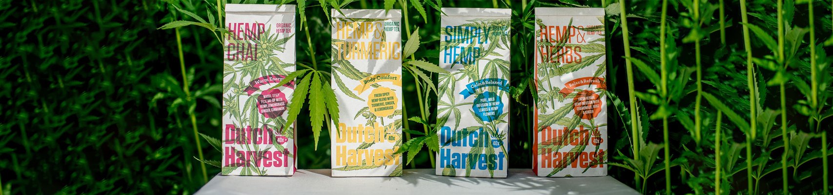 Dutch Harvest hemp tea