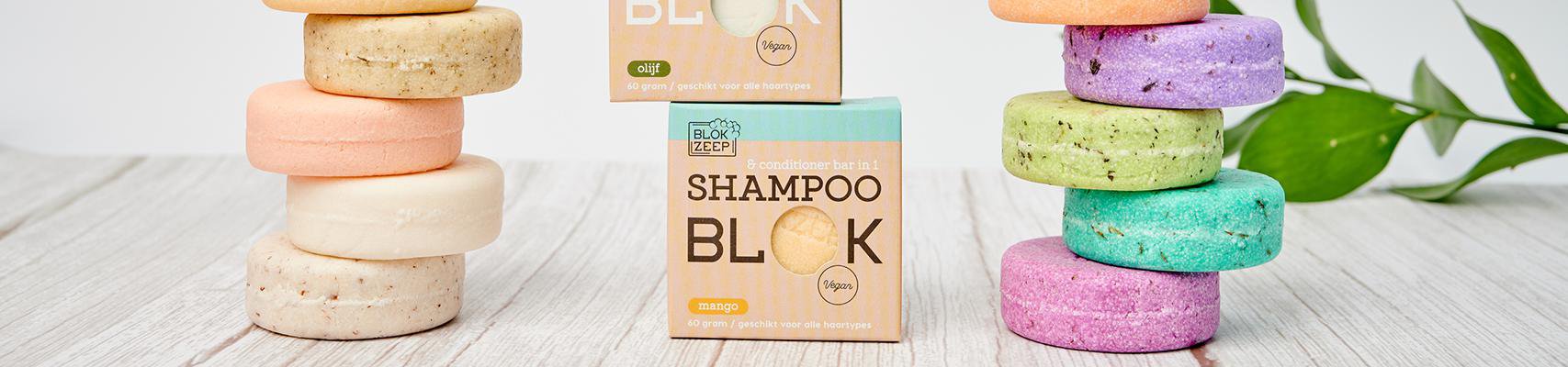 Blokzeep