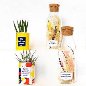 Styley, Home & Living brand in France