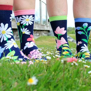 Oddsocks, Kids & Baby brand in Belgium