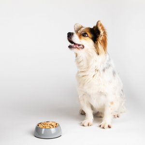 Rudi&Lotte, Home & Living brand in Germany